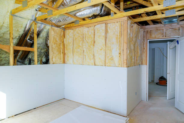 Best Geographic-Specific Insulation Services in Leesburg, VA